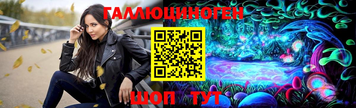 Галлюциногенные грибы Psilocybe  Вход с VPN  Тамбов  Псилоцибиновые грибы Psilocybe 